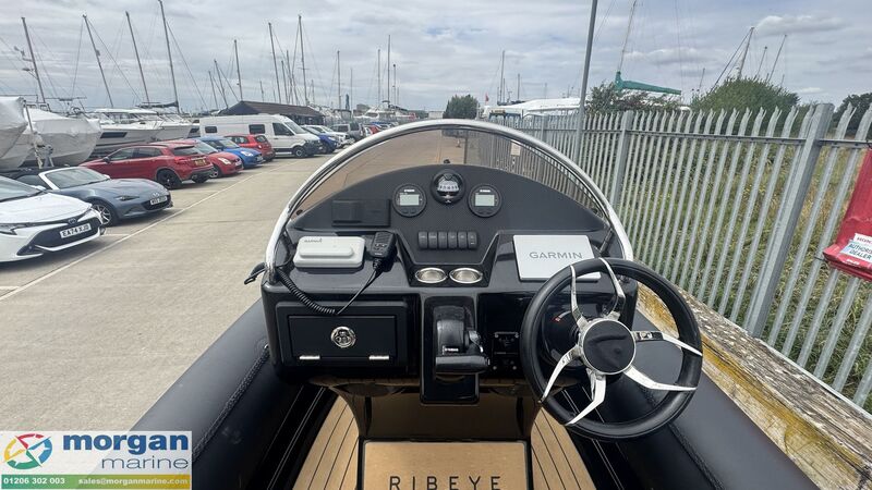  Ribeye  A600