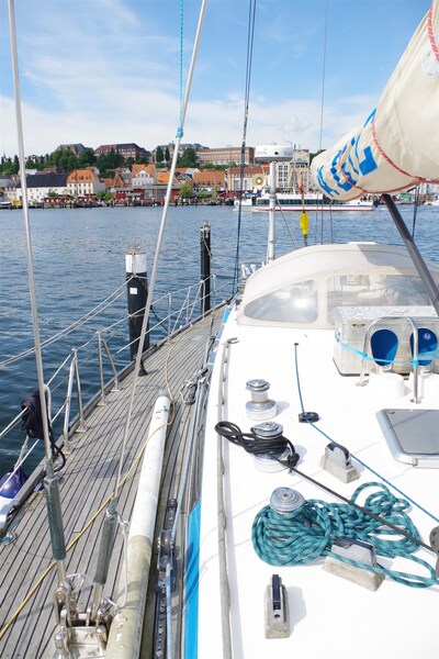 MSP_9739 Hylas Hylas 51 Ocean Race