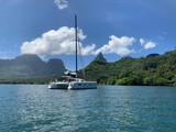  Barreau/Marsaudon TS 50