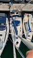  Gibert Marine Gibsea 33
