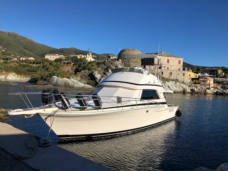 bow profile Bertram Yacht 37' Convertible
