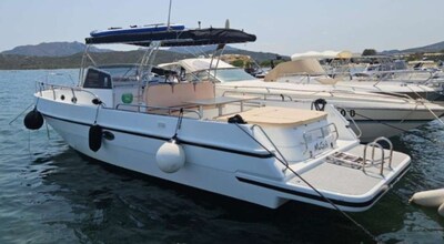 Canamer Canamer 33 WA 33