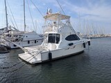 Tiara 3900 Conv. profile Tiara Yachts 3900 Convertible