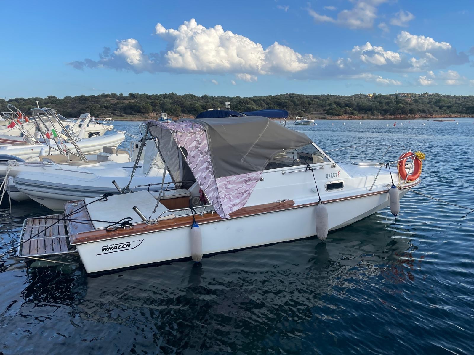 Boston Whaler 22 REVENGE zu verkaufen