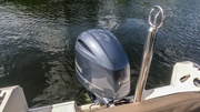  White Shark 210CC
